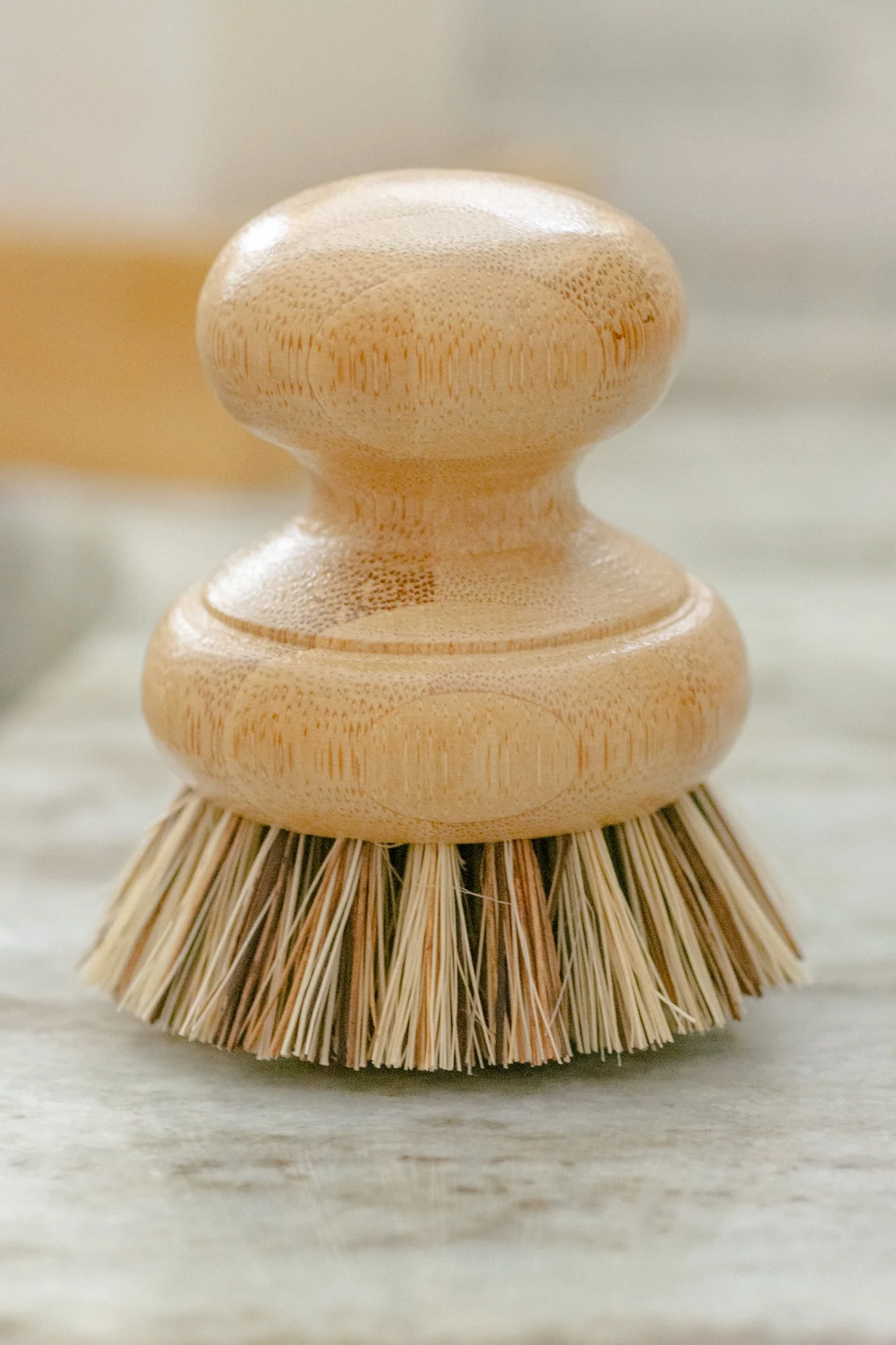CASA AGAVEĀ® Pot Brush - No Tox LifeĀ® - Image 5