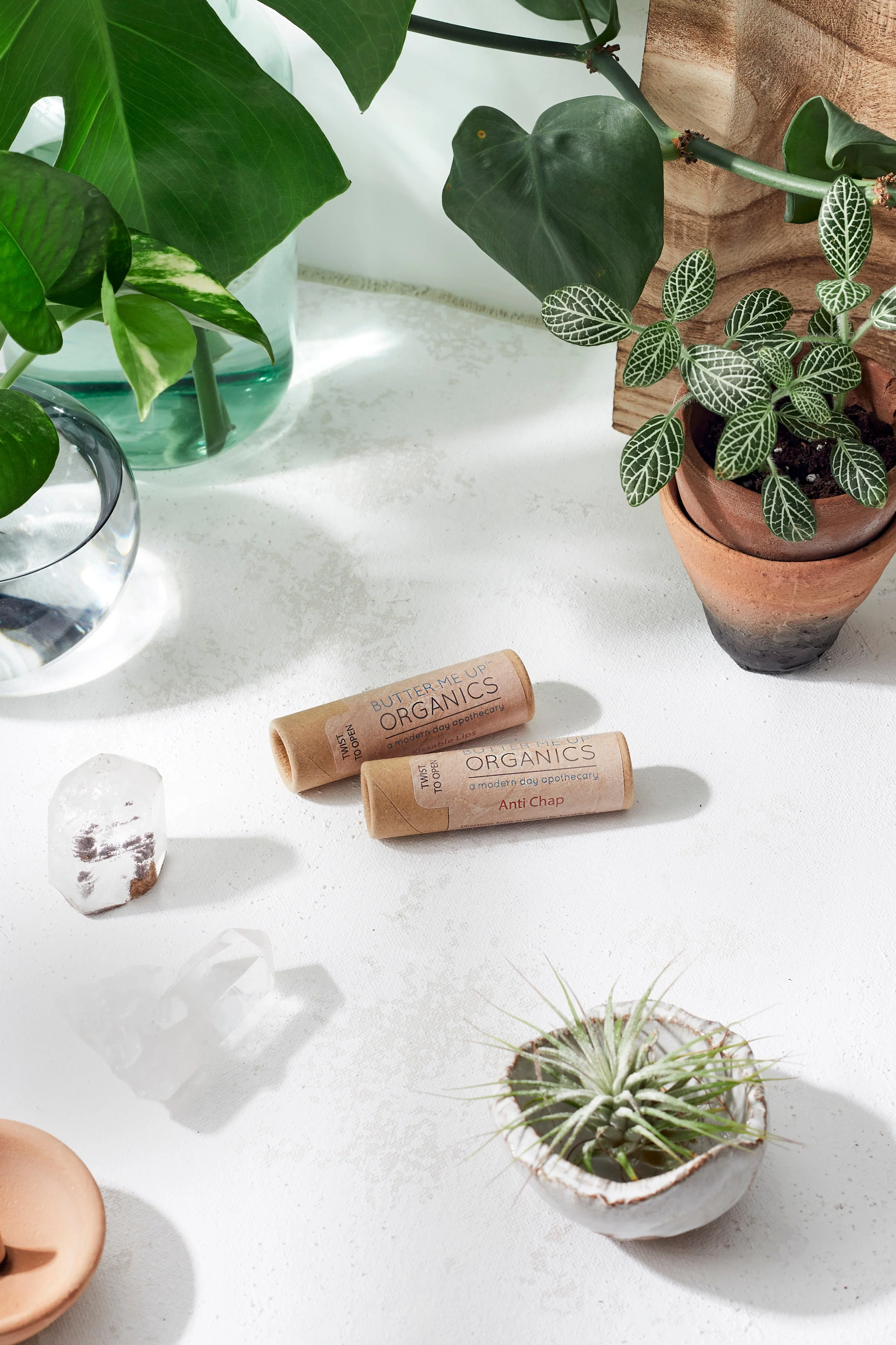Organic Anti-Chap Lip Balm / Chapped Lips / Organic Lip Moisturizer / PAPERBOARD Tube - Image 4