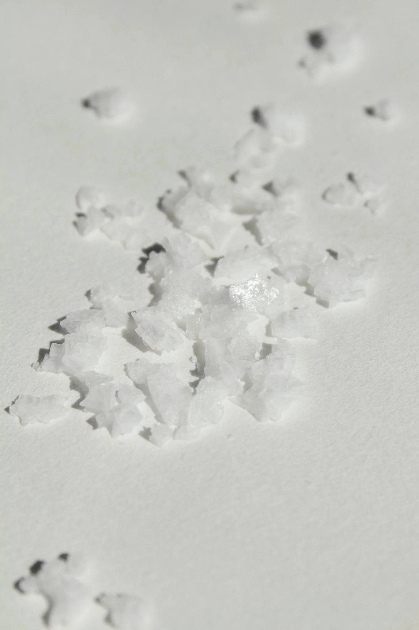 SEELE – Ritual Sea Salt Scrub | Celtic Salt®, Choya Nākh, Sage & Coriander - Image 12